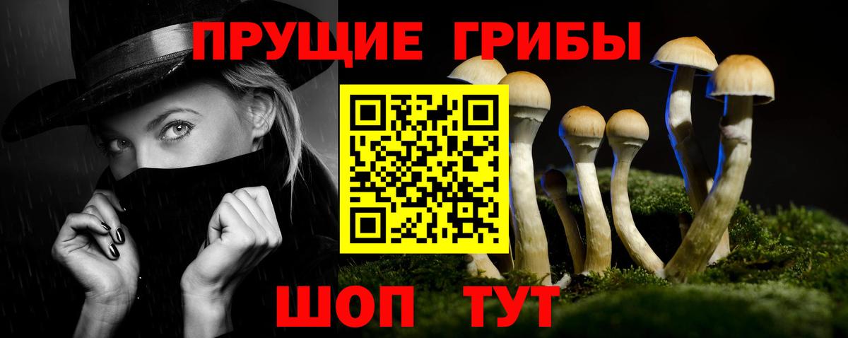 Канаш  Псилоцибиновые грибы Magic Shrooms  Вход с VPN 