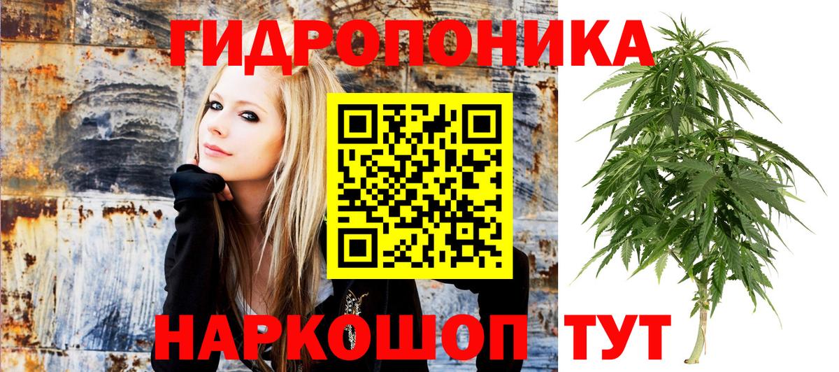МАРИХУАНА план  МАРИХУАНА Bruce Banner  Шишки марихуана Amnesia  Вход с VPN  Канаш 